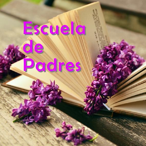 Imagen 5